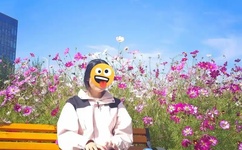 天天酷跑炫飞战车关